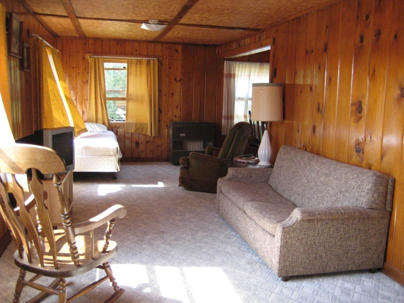 big-log-living-room